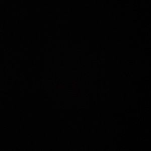 Meet your Posher, Raine